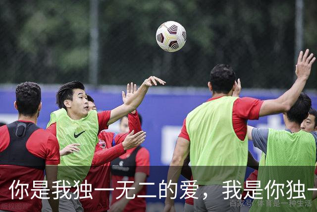 你是我独一无二的爱，我是你独一无二的无可替代