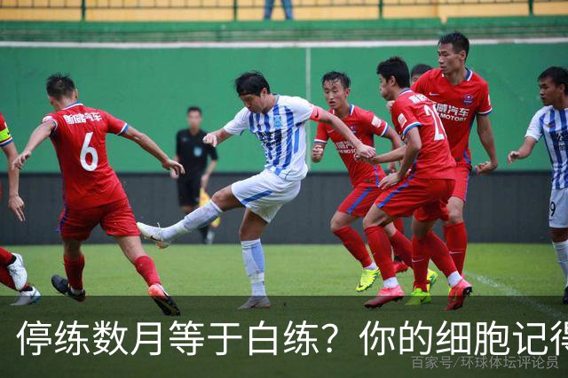 停练数月等于白练？你的细胞记得每一次流汗