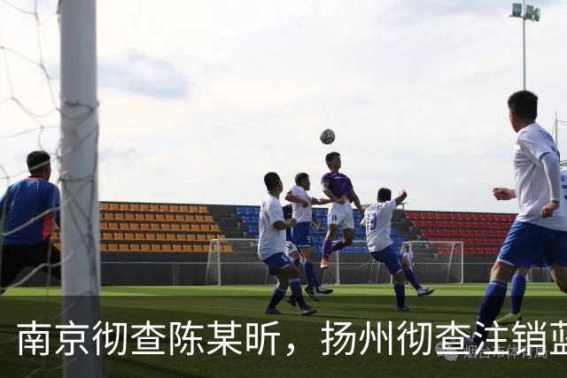 南京彻查陈某昕，扬州彻查注销蓝V！双线出击，汤家凤继续爆料