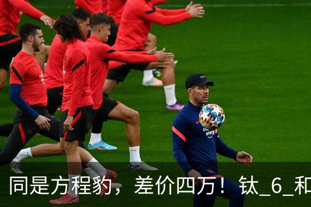 同是方程豹，差价四万！钛 6 和钛 7，到底贵在哪？