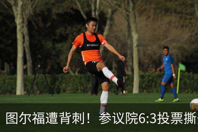 图尔福遭背刺！参议院6:3投票撕开菲政坛假象！