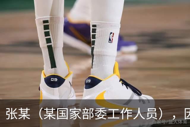 张某（某国家部委工作人员），因个人矛盾投靠境外间谍情报机关，违规下载、拍摄、拷贝涉密文件并秘密录音，窃取近30万份，12人失职被处分