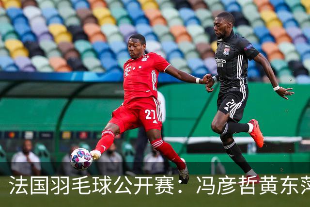 法国羽毛球公开赛：冯彦哲/黄东萍晋级混双八强