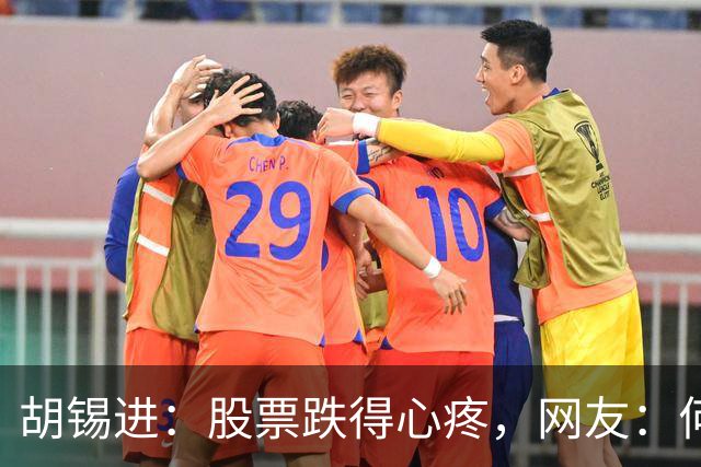 胡锡进：股票跌得心疼，网友：何止心疼，完全是肉疼