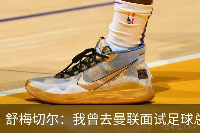 舒梅切尔：我曾去曼联面试足球总监，感觉只是在走过场