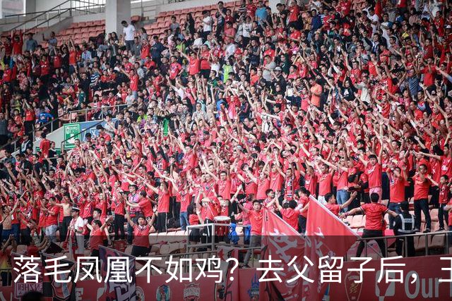 落毛凤凰不如鸡？去父留子后，王鸥回应无戏可拍，坦言走上另一条路