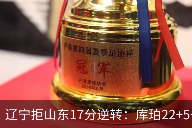 辽宁拒山东17分逆转：库珀22+5+8赵继伟10分 法耶20+9+6帽